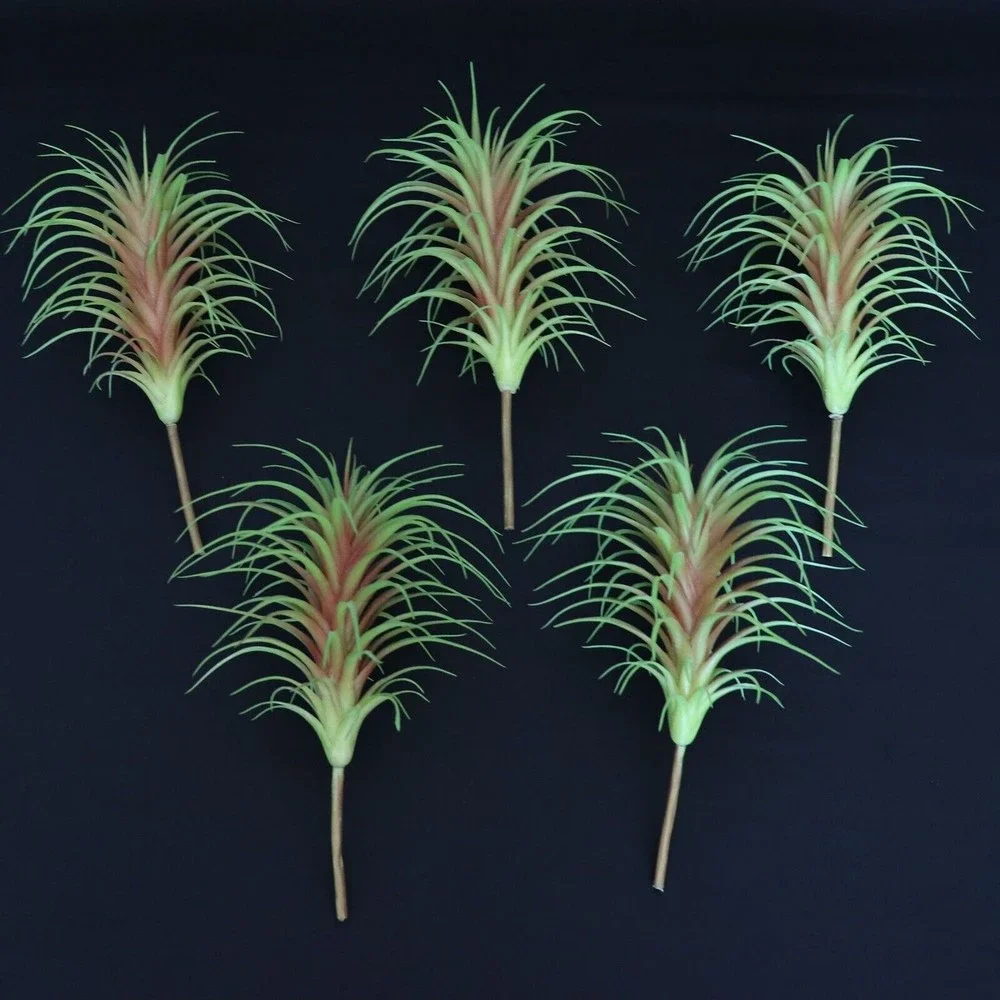Lot of 5 - Tillandsia Air Plant Picks 7